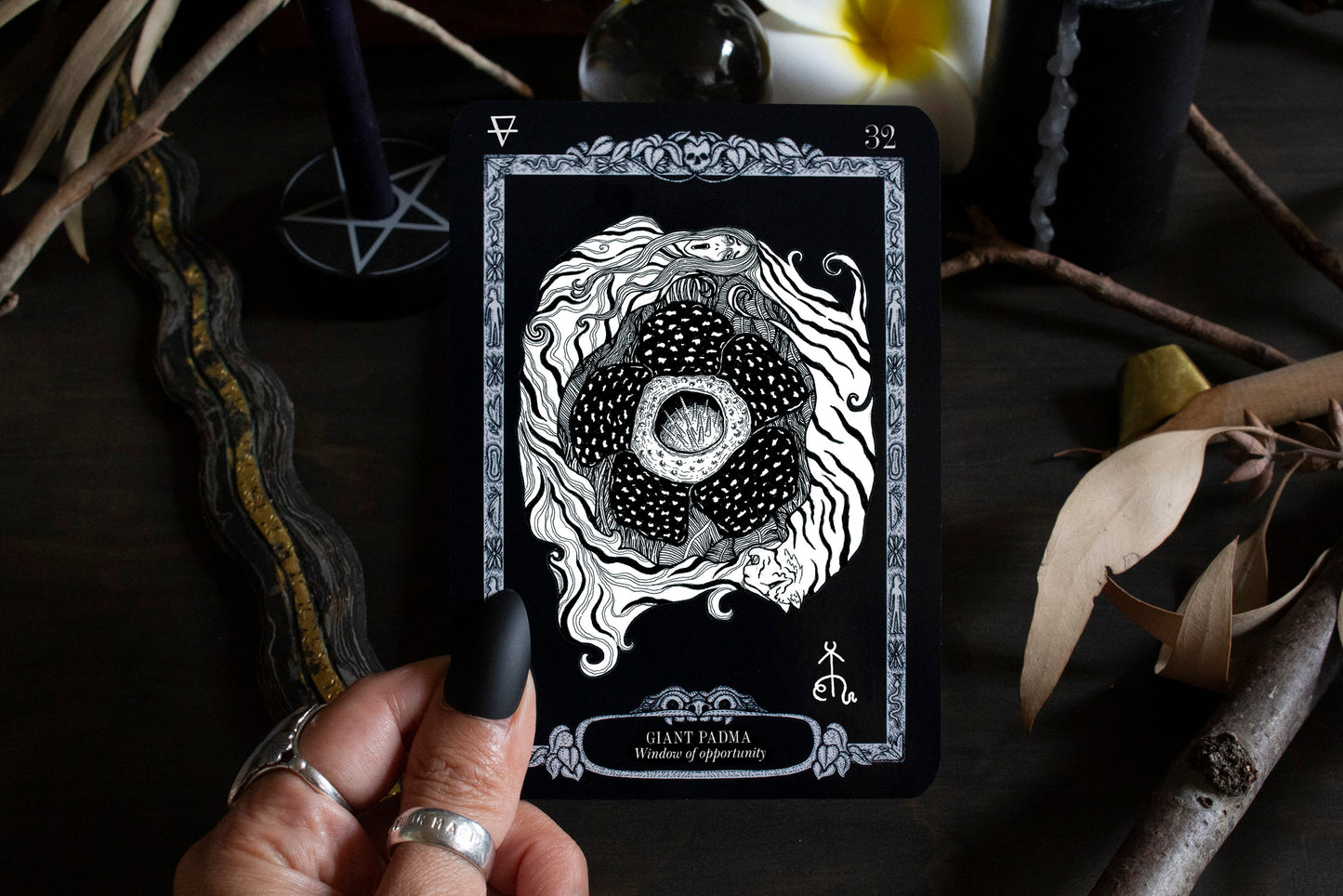 * NEW* MYSTIC ISLANDS ORACLE