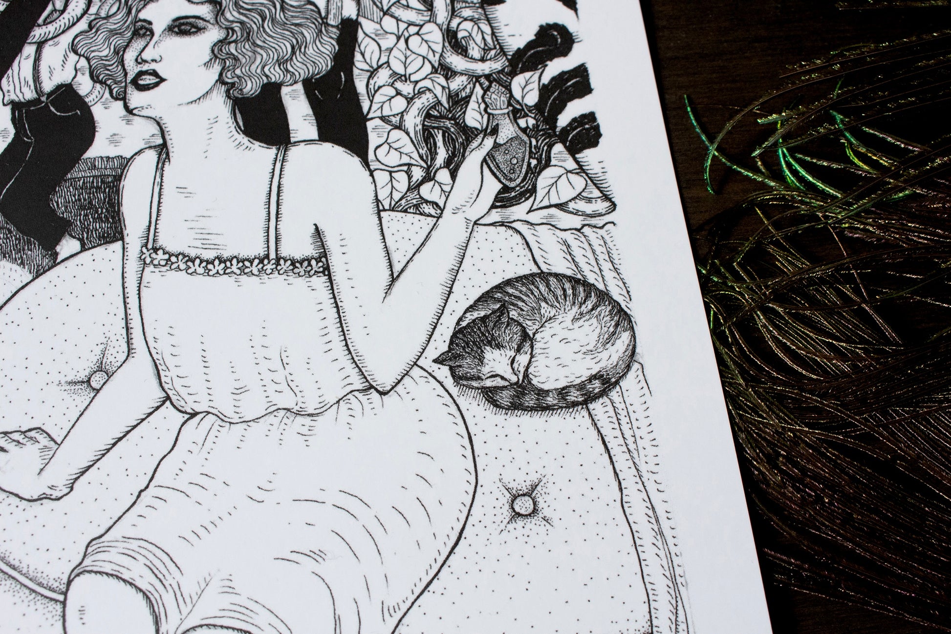 The devil in my boudoir art print detailing the cat curled up sleeping